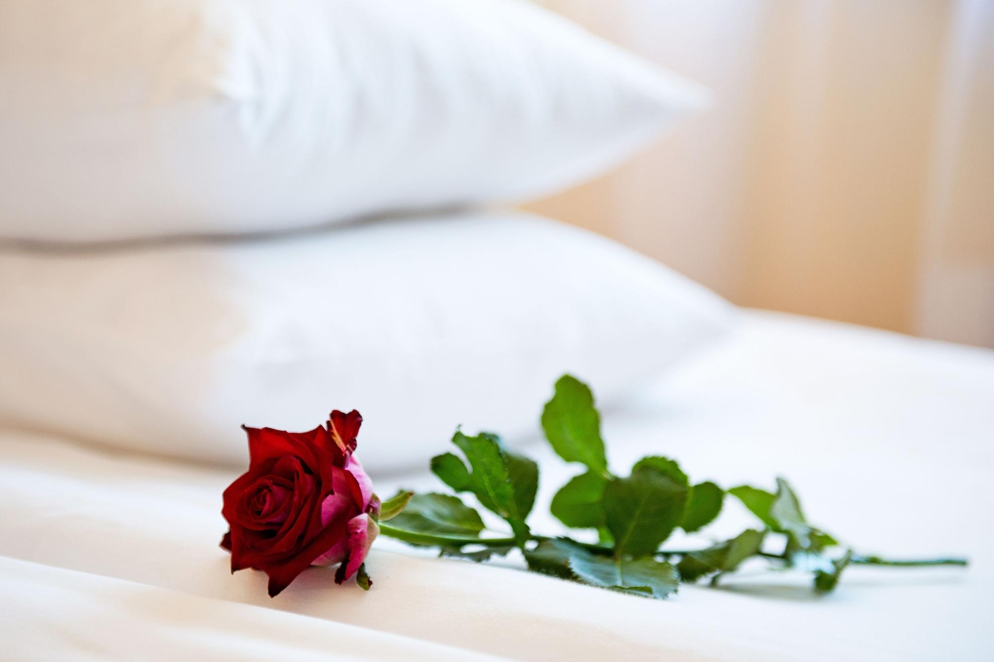 Best Baltic Hotel Palanga Dış mekan fotoğraf